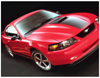 2003-04 Mustang Mach 1 Hood Stripe kit